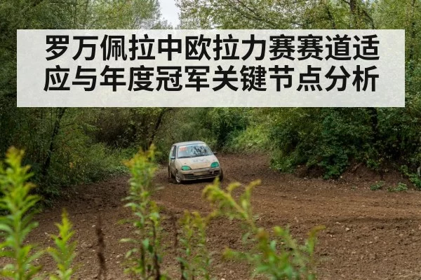 rally car racing forest road